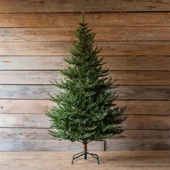 Olympia Fir 7.5 Ft Tree